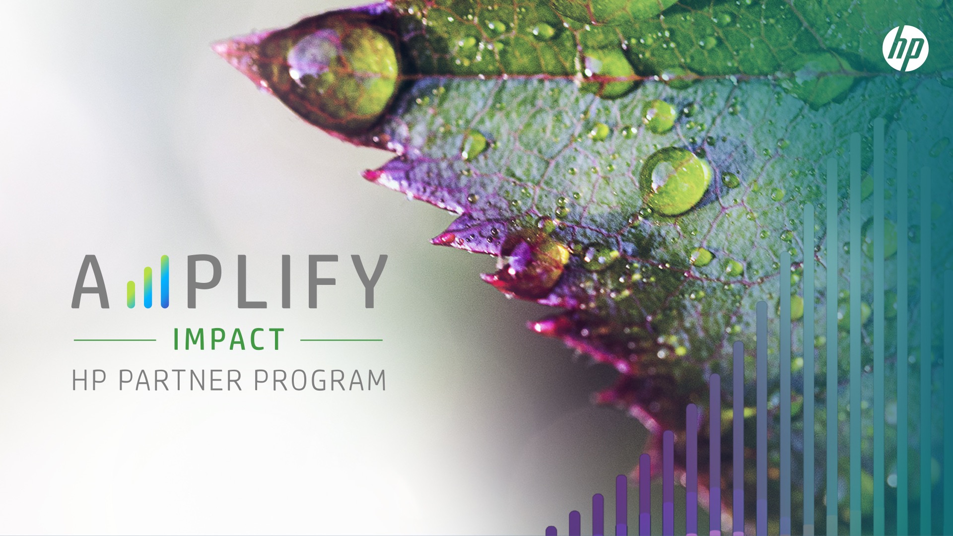 HP launches Amplify Impact program to drive partner sustainability initiatives