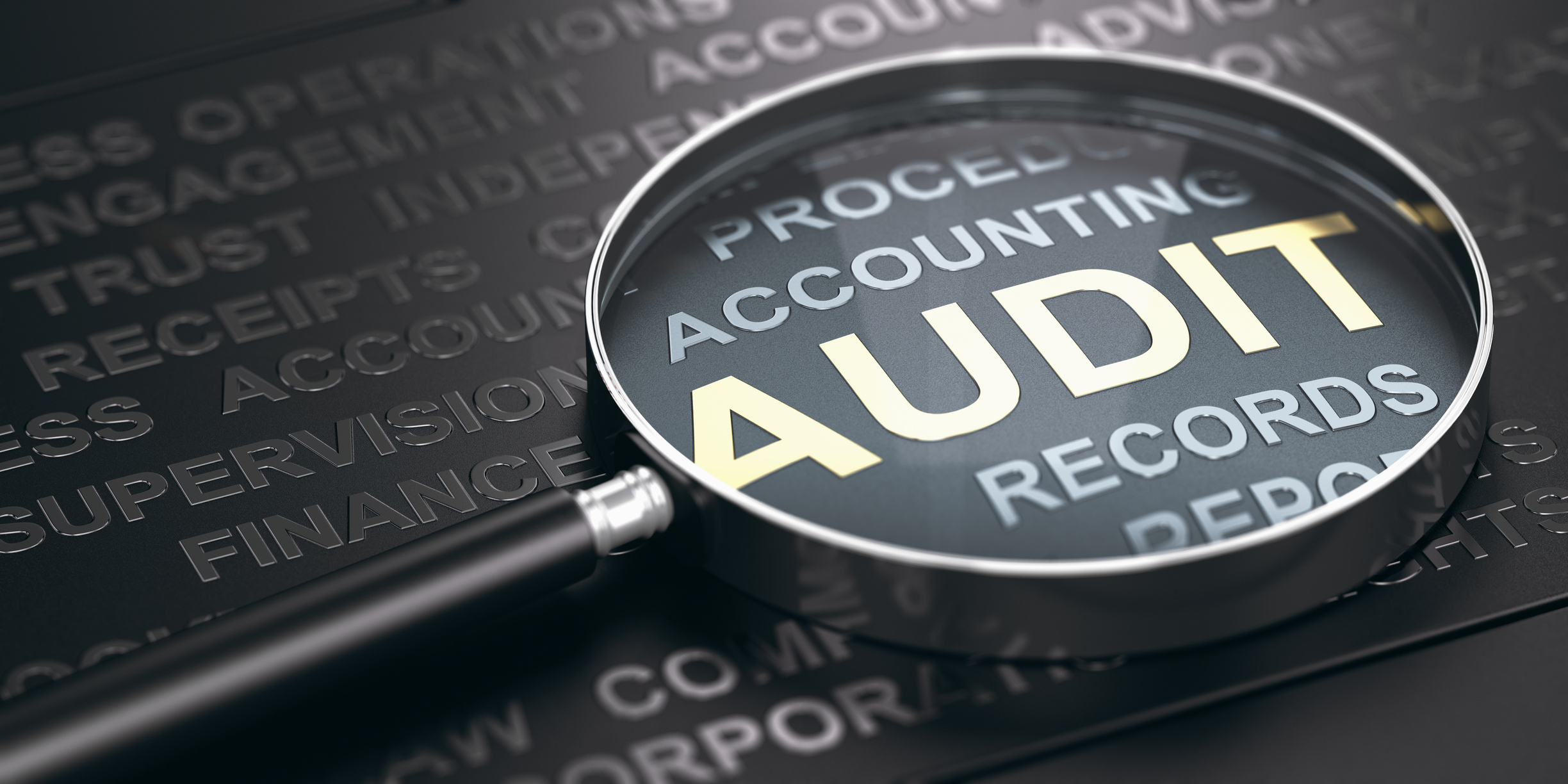 The future of audit