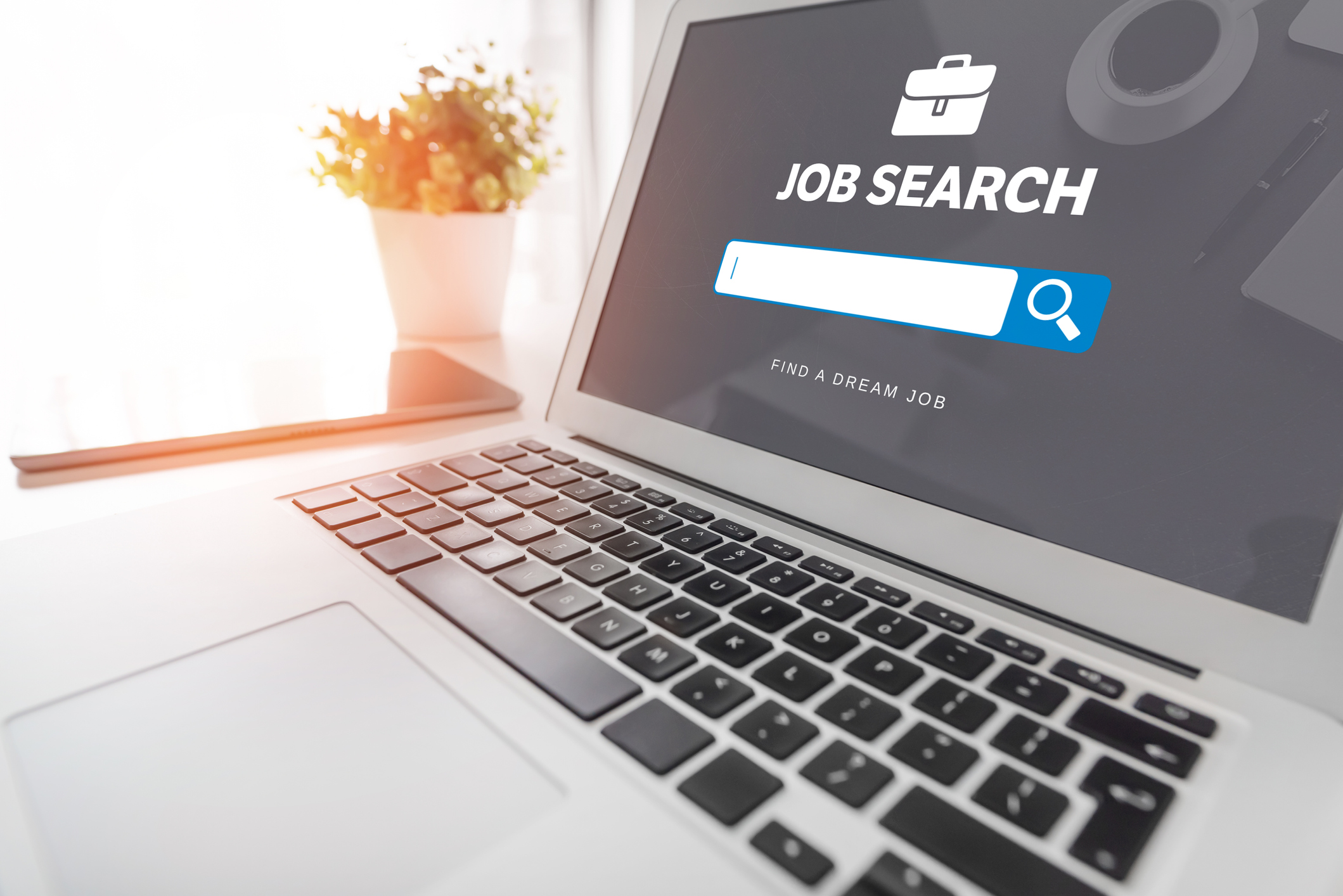 Job search website on laptop. Find a job