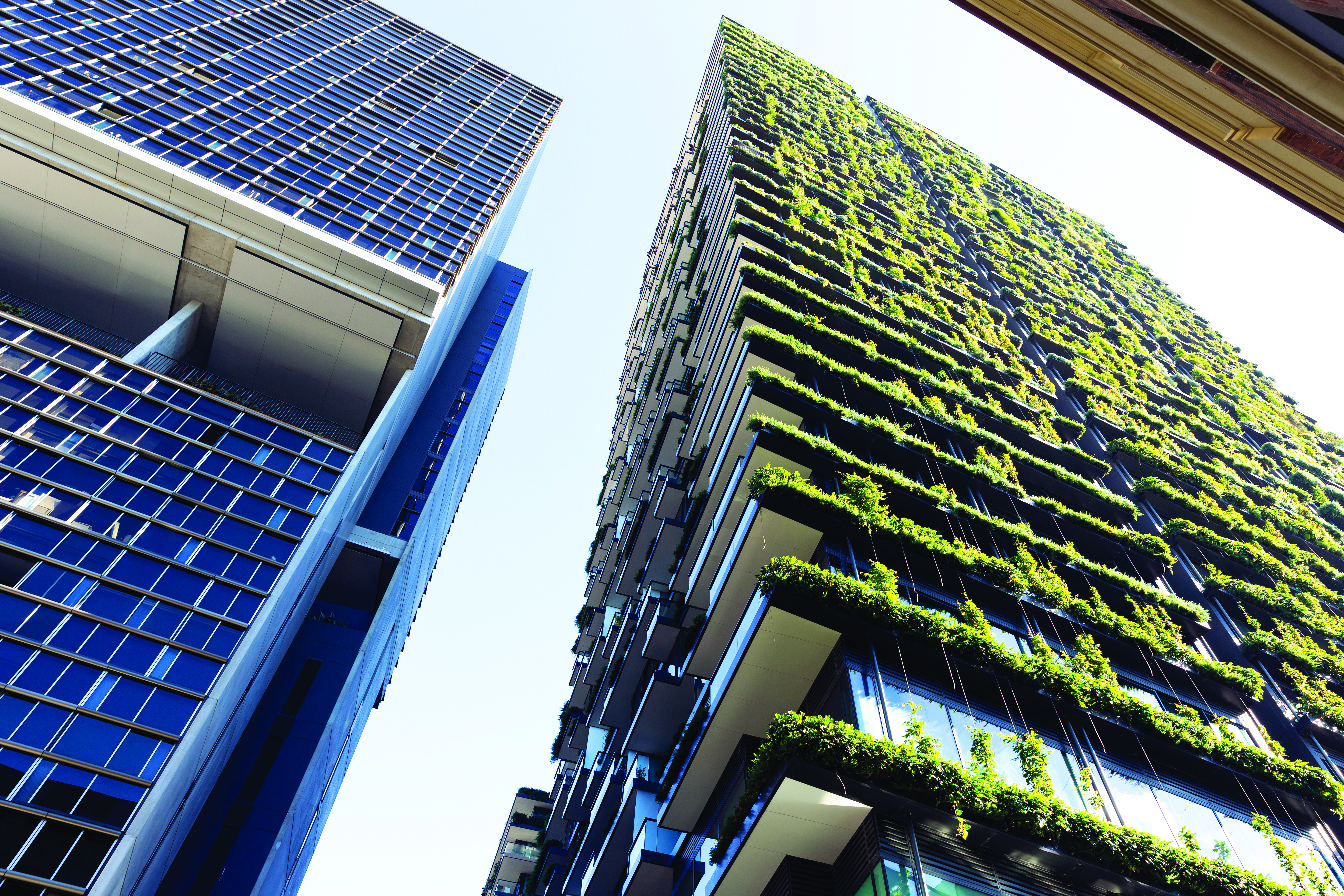 Low angle view of appartment building with vertical garden, background with copy space