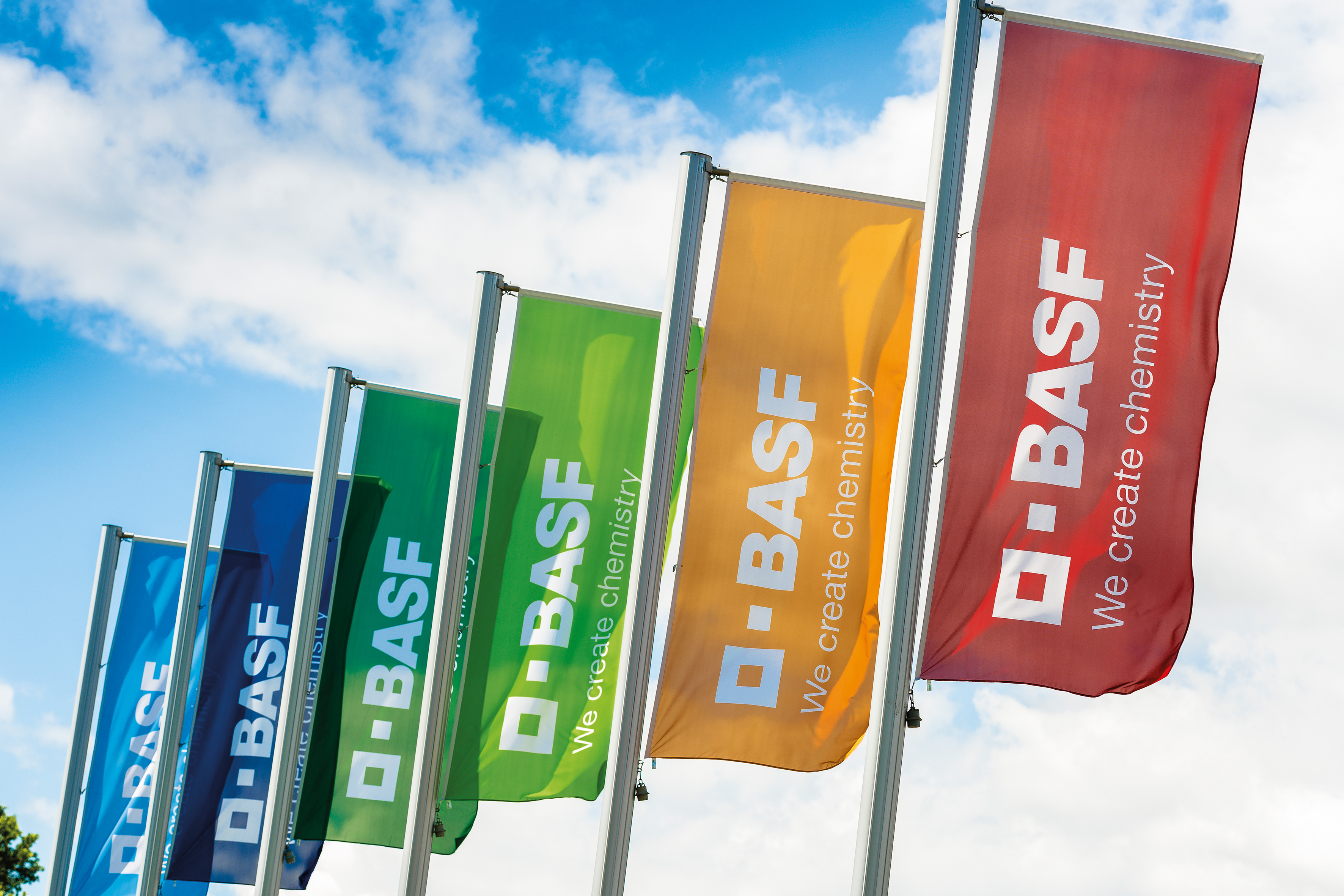 BASF flags at the Ludwigshafen site