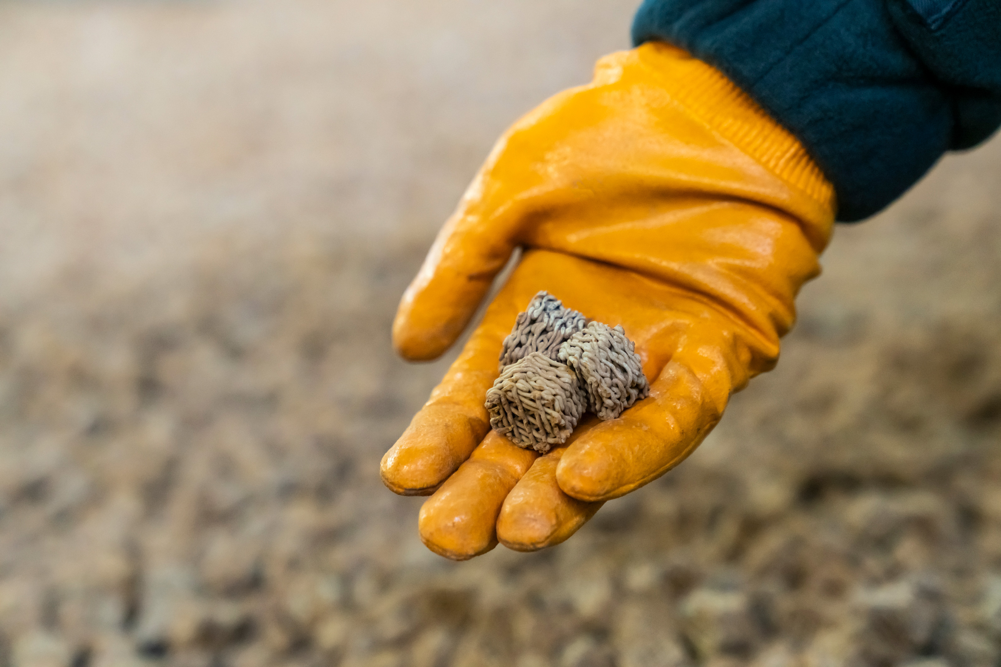 Katalysatoren neu gedacht / Rethinking catalysts